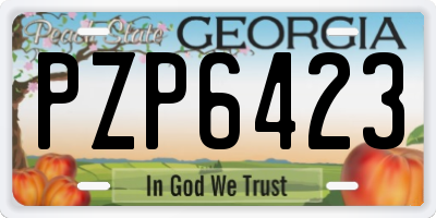 GA license plate PZP6423