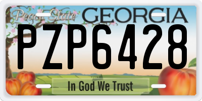 GA license plate PZP6428
