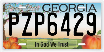 GA license plate PZP6429