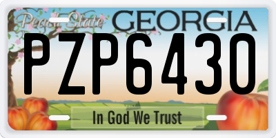 GA license plate PZP6430