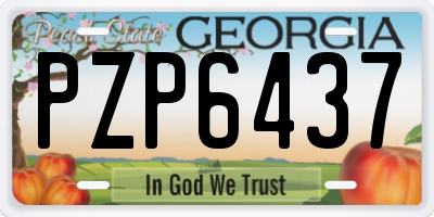 GA license plate PZP6437