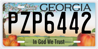 GA license plate PZP6442