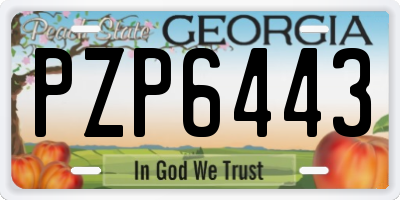 GA license plate PZP6443