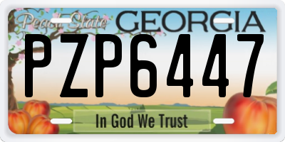 GA license plate PZP6447