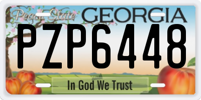 GA license plate PZP6448
