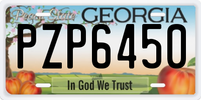 GA license plate PZP6450
