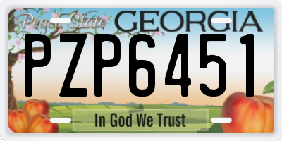 GA license plate PZP6451