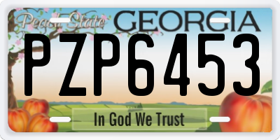 GA license plate PZP6453