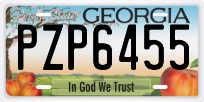 GA license plate PZP6455