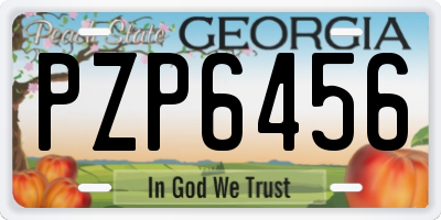 GA license plate PZP6456