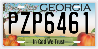 GA license plate PZP6461