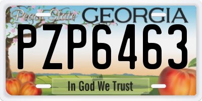 GA license plate PZP6463
