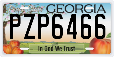 GA license plate PZP6466