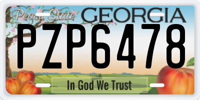 GA license plate PZP6478