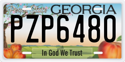 GA license plate PZP6480