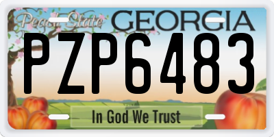 GA license plate PZP6483