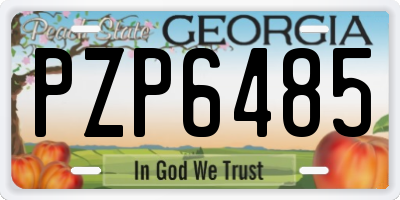 GA license plate PZP6485