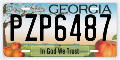 GA license plate PZP6487