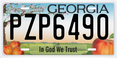GA license plate PZP6490