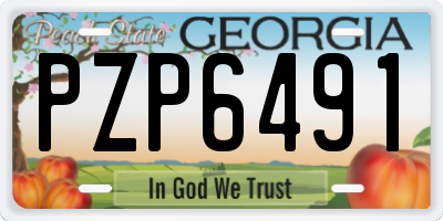 GA license plate PZP6491