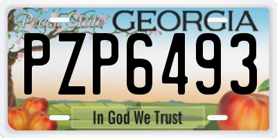 GA license plate PZP6493
