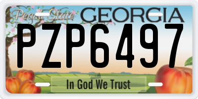 GA license plate PZP6497
