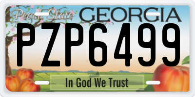 GA license plate PZP6499