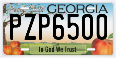 GA license plate PZP6500