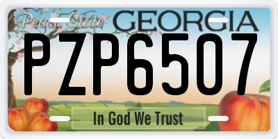 GA license plate PZP6507