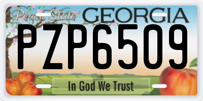 GA license plate PZP6509