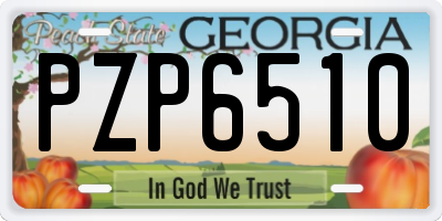 GA license plate PZP6510