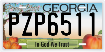 GA license plate PZP6511