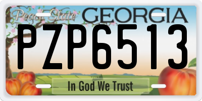GA license plate PZP6513