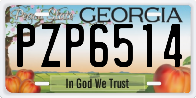 GA license plate PZP6514