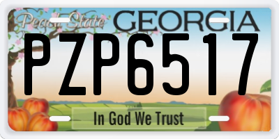 GA license plate PZP6517
