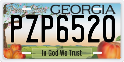 GA license plate PZP6520
