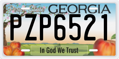 GA license plate PZP6521