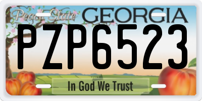 GA license plate PZP6523