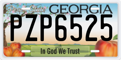 GA license plate PZP6525