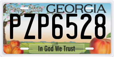 GA license plate PZP6528