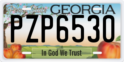 GA license plate PZP6530