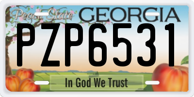 GA license plate PZP6531