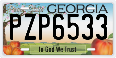 GA license plate PZP6533