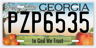 GA license plate PZP6535