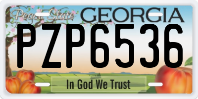GA license plate PZP6536
