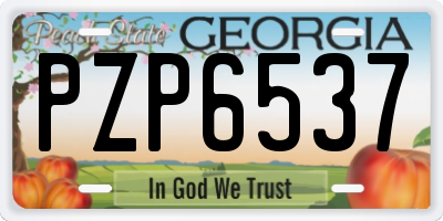 GA license plate PZP6537