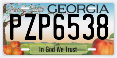 GA license plate PZP6538
