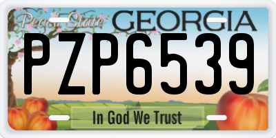 GA license plate PZP6539