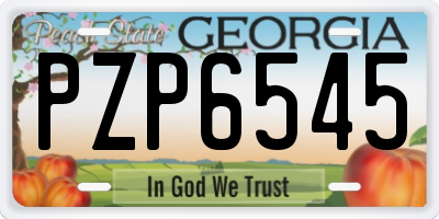 GA license plate PZP6545