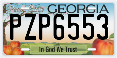 GA license plate PZP6553